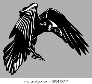 Portrait of a raven flying