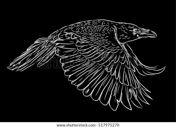 Portrait Raven Flying Style Engravings Doodle Stock Vector (Royalty ...