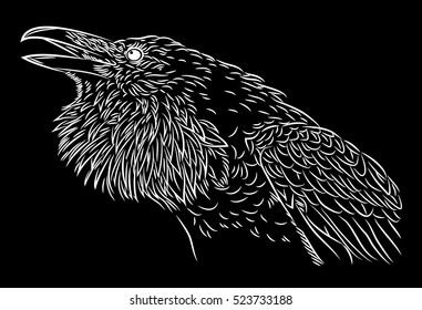 Portrait of a raven in the style of engravings (doodle)