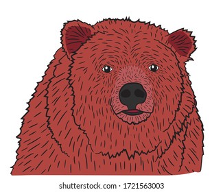 Portrait realistic bear in