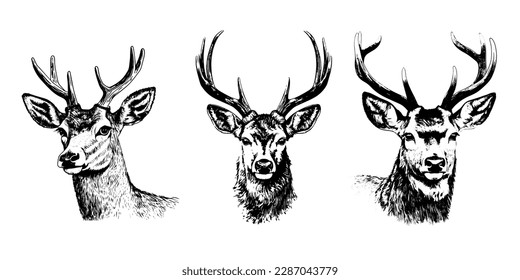retrato realista del tatuaje de ciervos aislado fondo de arte de clip vectorial blanco y negro. retrato emblema tatuaje realista de ciervo aislado fondo de imagen de clip vectorial en blanco y negro.