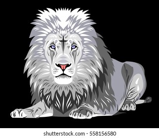 Portrait of a reclining white lion