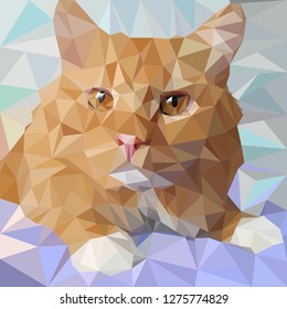 portrait of red cat in low poly style