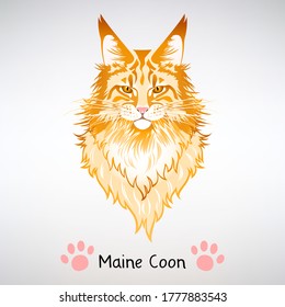 portrait of red cat Maine Coon on a light background