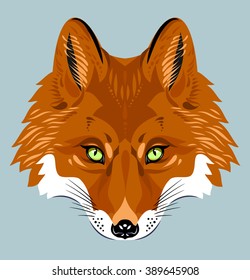 Portrait of a red fox