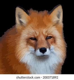 Portrait of a red fox male on black background, vulpes vulpes. Head of a forest wild beast. Smart look of a dodgy vulpes, skilled raptor and elegant animal. Oil painting style vector illustration.