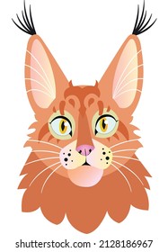 A portrait of a red Maine Coon cat. This is a vector illustration with transparent background.