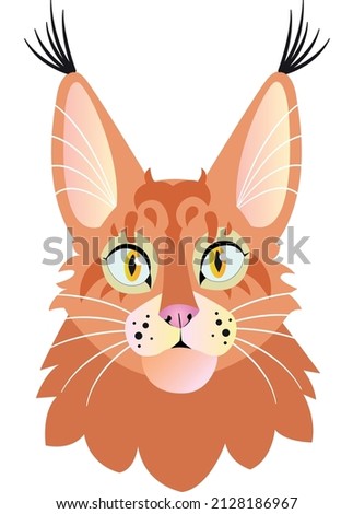 A portrait of a red Maine Coon cat. This is a vector illustration with transparent background.