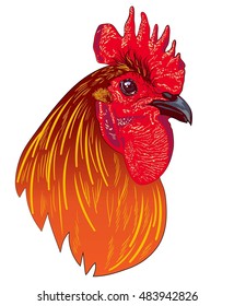 portrait red rooster