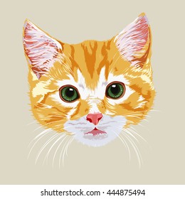 Portrait of red-haired cute tabby kitten on light background.