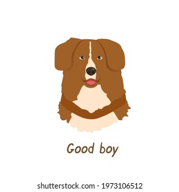 Portrait of Retriever with Good boy text. Nova Scotia Retriever or Toller.  Vector Illustration isolated on white background.