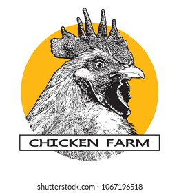 Portrait of a rooster head. 
Black and white illustration. Realistic vector image of poultry chicken as a design element for logo, icon, template, label.