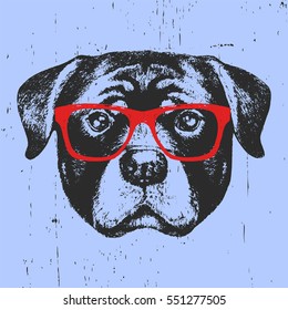 Portrait of Rottweiler with glasses. Hand drawn illustration. Vector