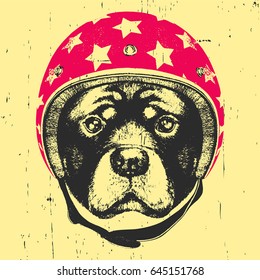 Portrait of Rottweiler with Helmet. Vector