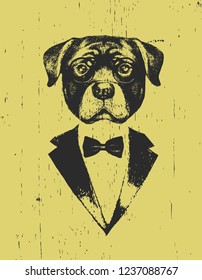 Portrait of Rottweiler in suit, hand-drawn illustration, vector