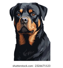 Ein Portrait eines Rottweilers - ein Vektorbild und eine Silhouette einzeln auf weißem Hintergrund