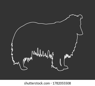 Portrait of Rough Collie vector line contour silhouette illustration isolated on black background. Scottish Shepherd dog. Beware of dog. Shape Rough Collie shadow. 