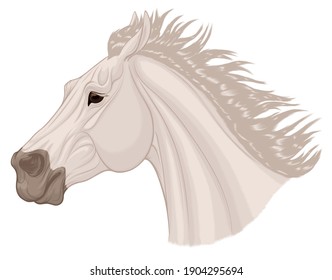 Portrait of a running bronco with a long thick mane. Galloping gray stallion pulled its ears back. Vector element for rodeo and horse owners isolated on a white background.