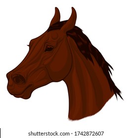 Portrait of a running sorrel horse with ears laid back. Image of a young stallion. Vector clip art for stud farms and equestrian clubs. 