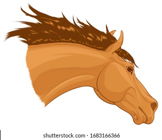 Portrait of a running sorrel horse with long fluttering mane. Stallion lowered its head. Vector clip art for stud farms and equestrian clubs. 