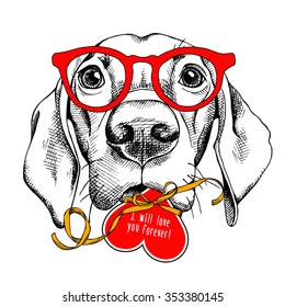 Portrait of a sad dog Labrador in glasses that take in teeth red Valentine's heart card with ribbon. Vector illustration.