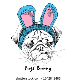 Portrait of the sad funny Pug dog in the bunny headband. Humor card, t-shirt composition, hand drawn style print. Vector illustration.