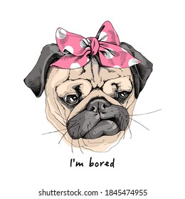 Portrait of the sad funny Pug dog in the pink bow headband. Humor card, t-shirt composition, hand drawn style print. Vector illustration.