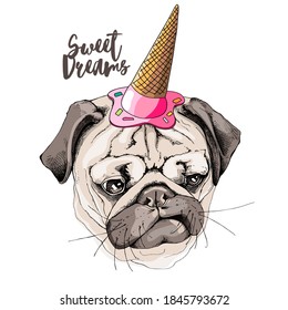 Portrait Of The Sad Funny Pug Dog In The Ice Cream Party Hat. Humor Card, T-shirt Composition, Hand Drawn Style Print. Vector Illustration.