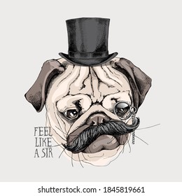 Portrait of the sad funny Pug dog with a mustache in the gentleman top hat and with monocle. Humor card, t-shirt composition, hand drawn style print. Vector illustration.