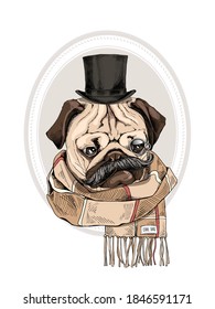 Portrait of the sad funny Pug dog with a mustache in the gentleman top hat, checkered scarf and with monocle. Humor card, t-shirt composition, hand drawn style print. Vector illustration.