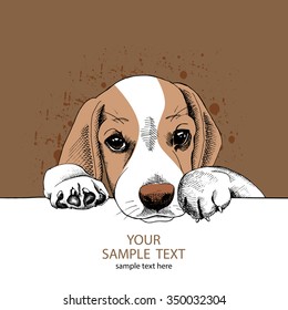 Portrait of a sad puppy Beagle on brown background. Vector illustration.