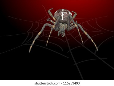 Portrait scary spider. Vector illustration.