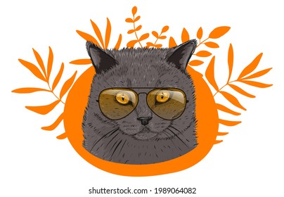 Portrait of a Scottish Fold cat. Animal with glasses. Pet. For surface printing. Sunglasses. Stock vector illustration isolated on white background.