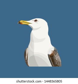 Portrait of a seagull. Vector illustration isolated on blue background
