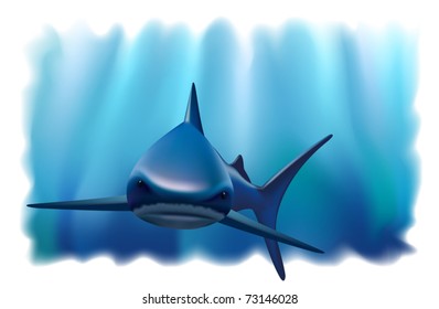 Portrait of a shark in the ocean. Vector illustration.