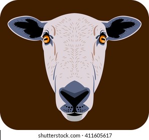 Portrait of a sheep 