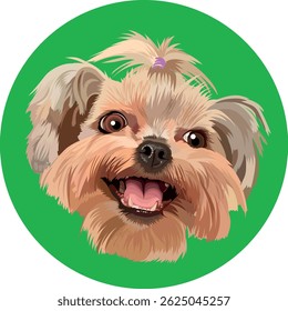 Portrait of a Shih Tzu dog on a round green background