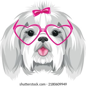 Portrait of Shih Tzu in pink eyeglasses. Vector