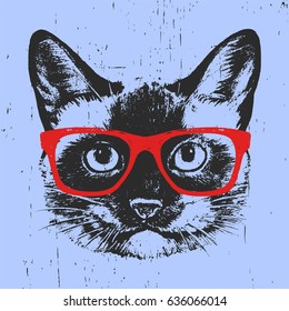 Portrait of Siamese Cat with glasses. Hand drawn illustration. T-shirt design. Vector