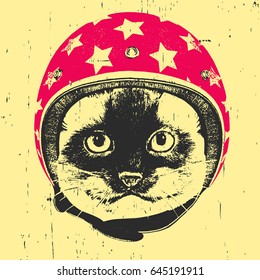 Portrait of Siamese Cat with Helmet. Vector