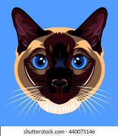 Portrait of a Siamese cat home 