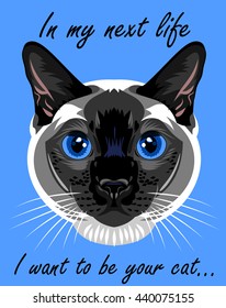 Portrait of a Siamese cat home