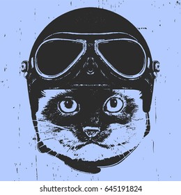 Portrait of Siamese Cat with Vintage Helmet. Vector