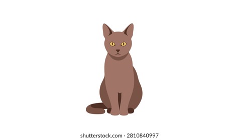Portrait of a sitting brown cat with bright yellow eyes staring forward calmly against a white background.