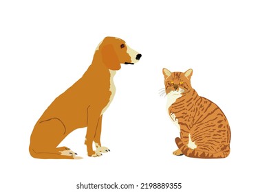 Portrait of sitting pets, domestic dog and cat vector illustration isolated on white background. Schiller hound dog and Scottish straight cat. Schillerstovare. Beware of dog. Friends and home guard.