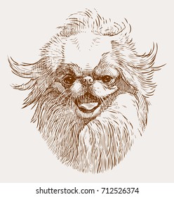 Portrait sketch of a japanese hin
