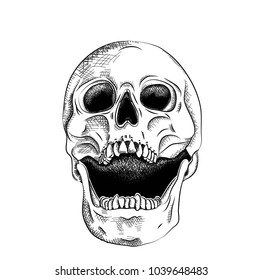 Portrait of a skull. Can be used for printing on T-shirts, flyers, etc. Vector illustration