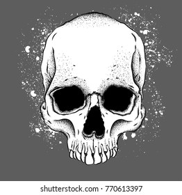 Portrait of a skull. Can be used for printing on T-shirts, flyers, etc. Vector illustration