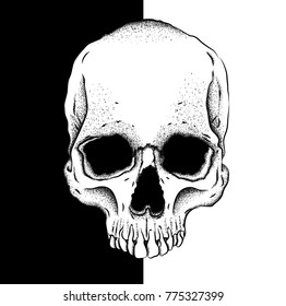 Portrait of a skull. Can be used for printing on T-shirts, flyers, etc. Vector illustration