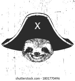 Portrait of Sloth with a pirate hat. Vector. 